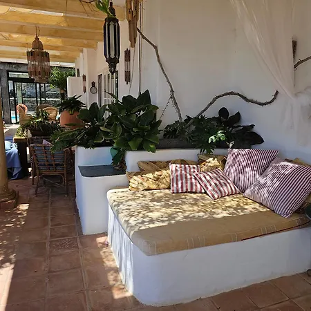 La Ranita 4 Siddhartha